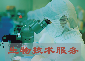 开运电竞
实验技术服务外包