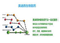 开运电竞
部副总裁汪俊博士：美迪西肿瘤免疫学平台已建立