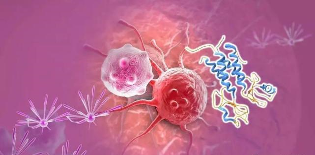 【盘点】高选择性mTOR抑制剂的研究进程_开运电竞
医药