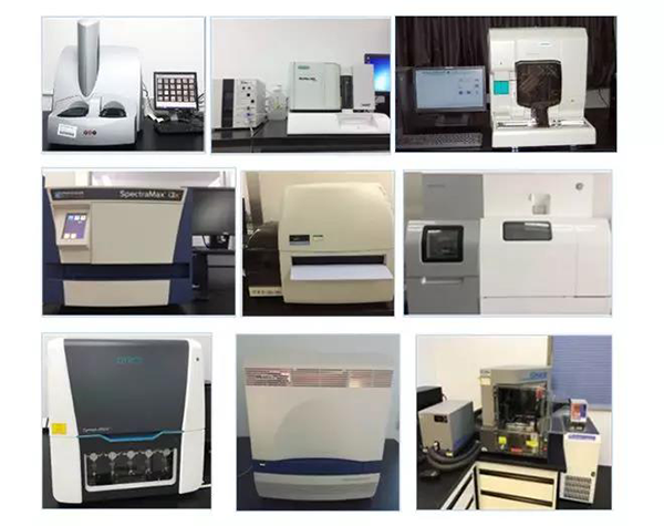 开运电竞
技术药物分析部门拥有SpectraMaxM4/M5/i3x, MSD, Luminex, Biacore 8K, Envision, Gyrolab，ABI7500 qPCR等全方位多功能的技术平台，利用LIMS系统实施全面的实验室信息化管理，提供全面符合FDA/CFDA/OECD GLP规范要求的生物技术药物分析服务。