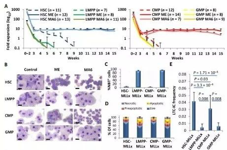 Science子刊：一种FDA批准的抗腹泻药物可有效对抗化疗的耐药性 开运电竞
医药