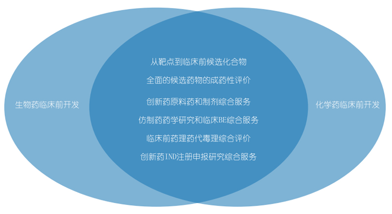 开运电竞
药物研发和化学药物研发.jpg